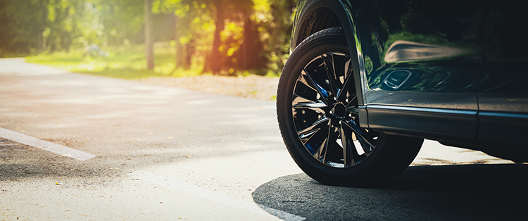 Texas Autoowners with auto insurance coverage