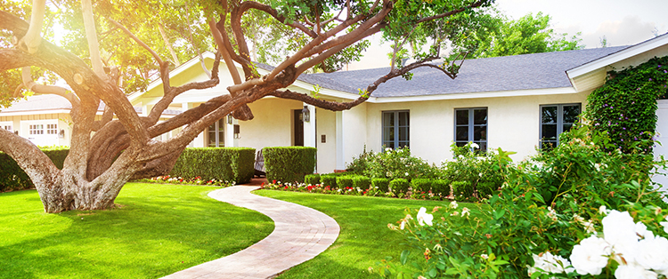 Texas Homeowners with home insurance coverage