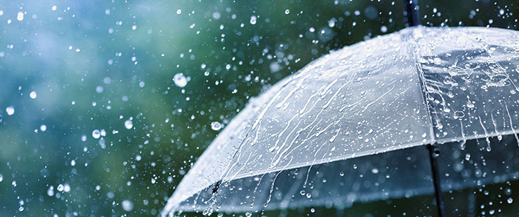 Texas Umbrella Insurance Coverage